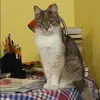 Отзыв от Яна Грачева